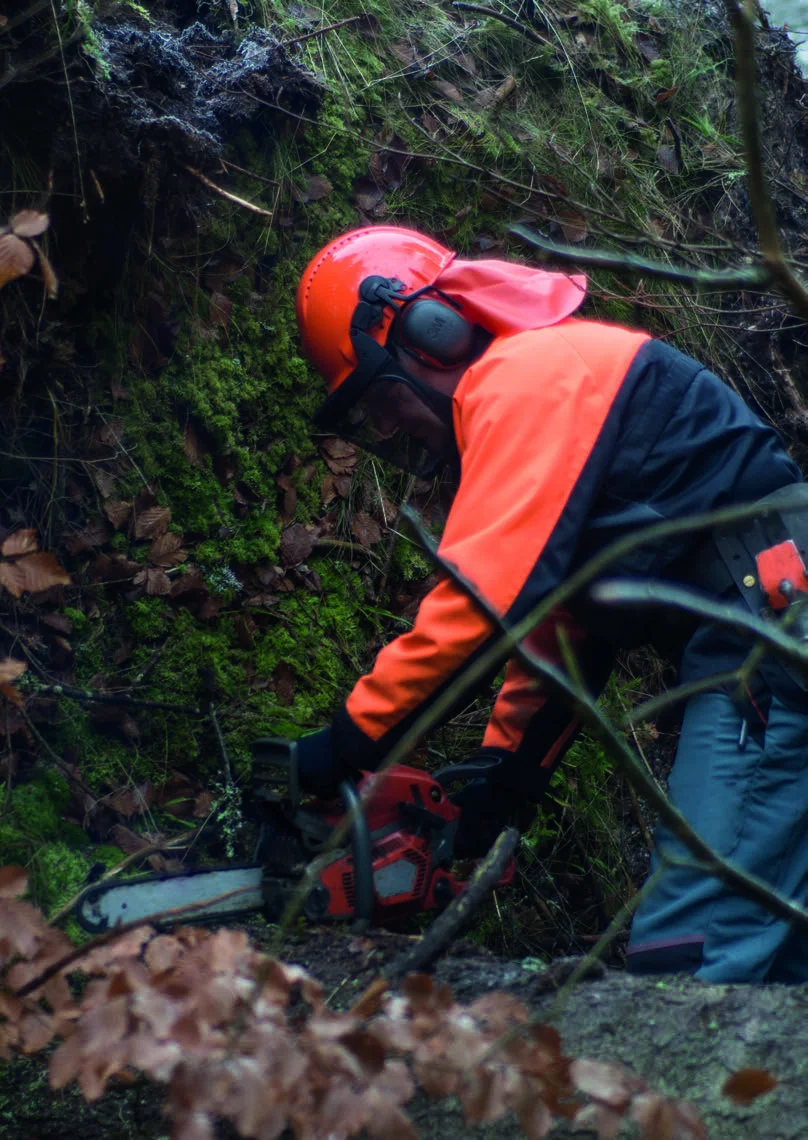 3M Forestry & Chainsaw Safety